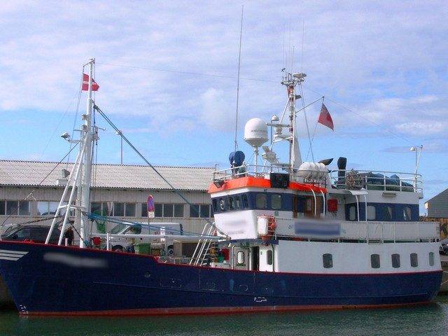 seagull hochseeangeln gelbes riff daenemark hirtshals 6